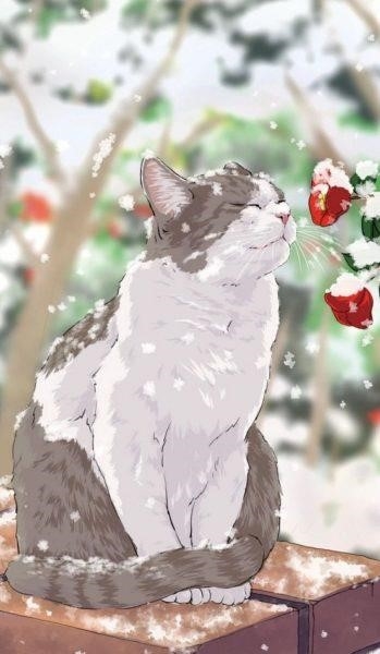Ảnh hình nền anime với mèo đang tắm trong cảnh tuyết trắng.
