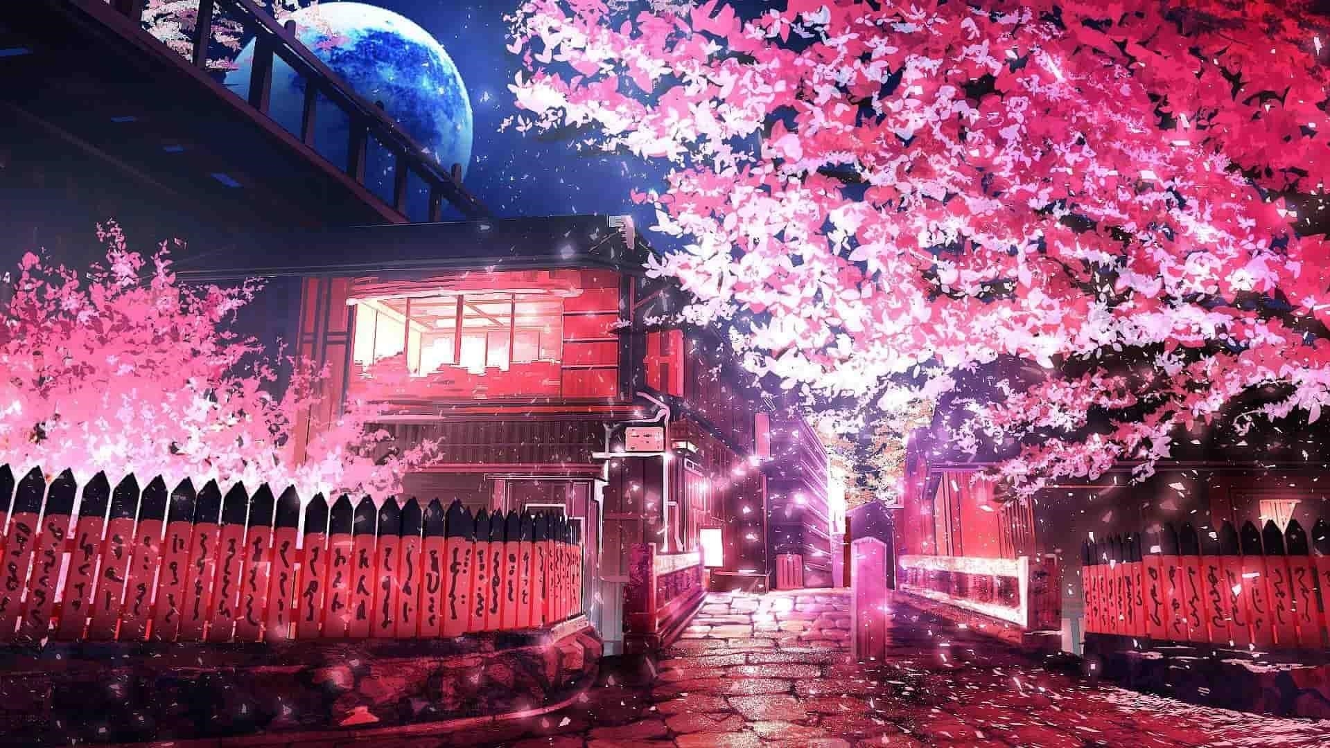 Phong cảnh đẹp của anime hoa đào ban đêm