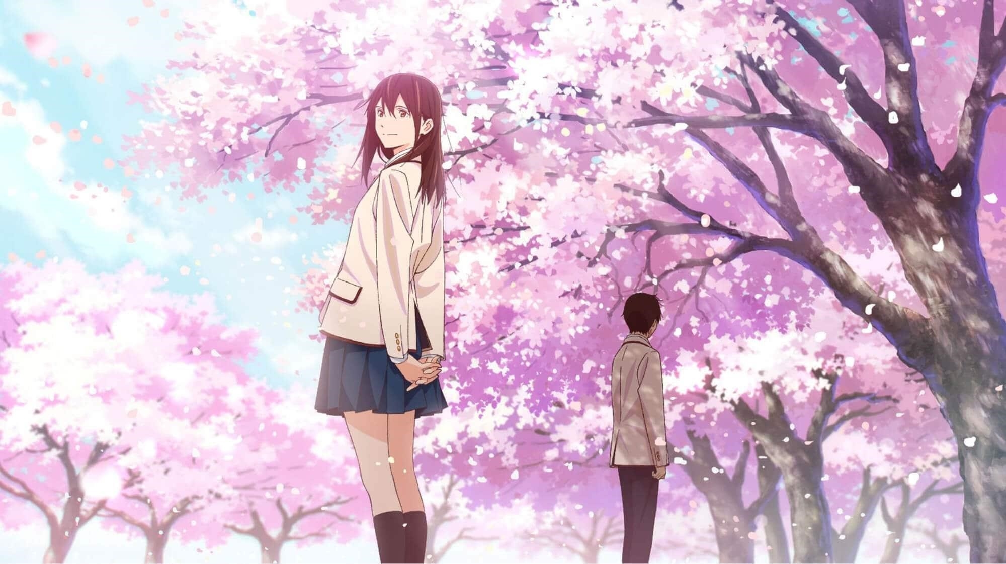 Hình anime của hoa đào dành cho nhau một con đường riêng.