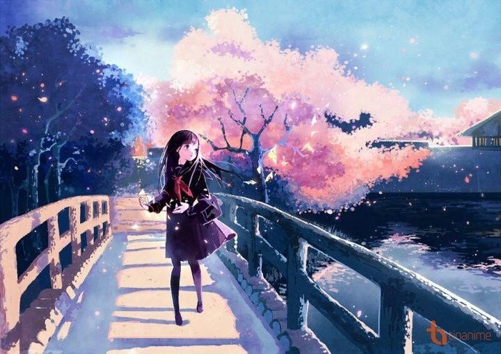 Hình ảnh hoa anh đào trong Anime cô đơn và lạc lõng.