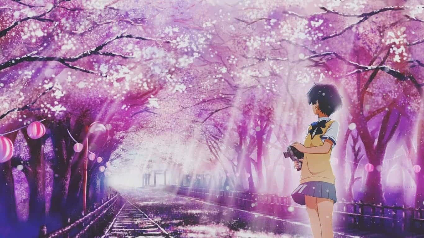 Hình ảnh của một cô gái đứng một mình dưới cây đào trong phong cách Anime.
