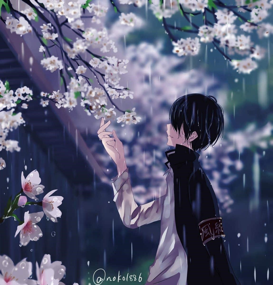 Hoa Đào Anime đứng một mình dưới trời mưa.