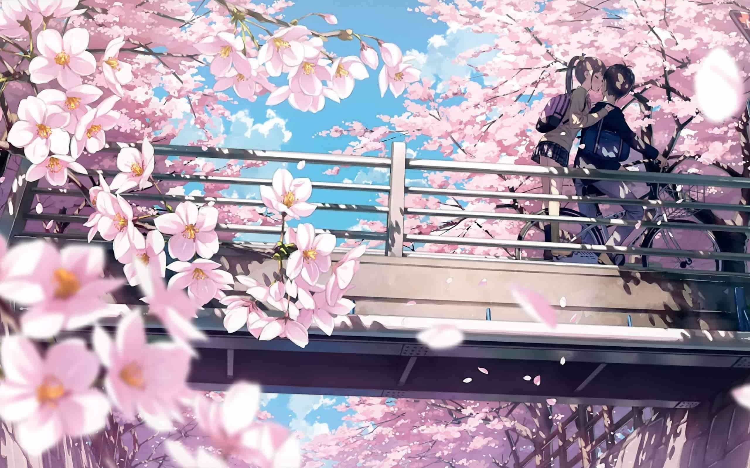 Hình ảnh đẹp và tình tứ của hoa đào trong Anime.