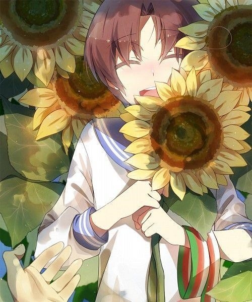 Hình ảnh manga hoa hướng dương dễ thương