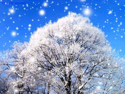 Hình động đẹp tuyết rơi mang đến một cảm giác thú vị và lãng mạn, với những hạt tuyết trắng xóa rơi từ trên trời xuống mặt đất, tạo nên một khung cảnh thần tiên và huyền ảo.