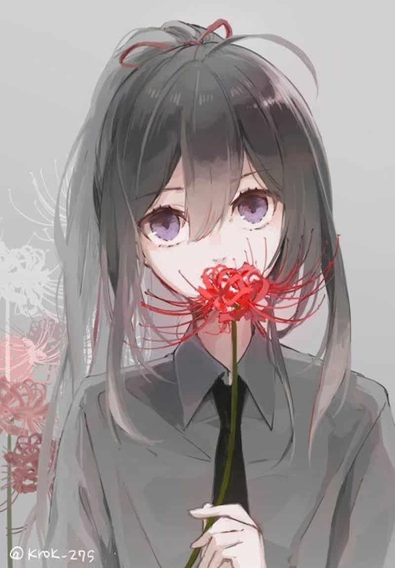 Hoa bỉ ngạn anime đẹp là một loại hoa được lấy cảm hứng từ các nhân vật trong anime, có vẻ đẹp tinh tế và thu hút.