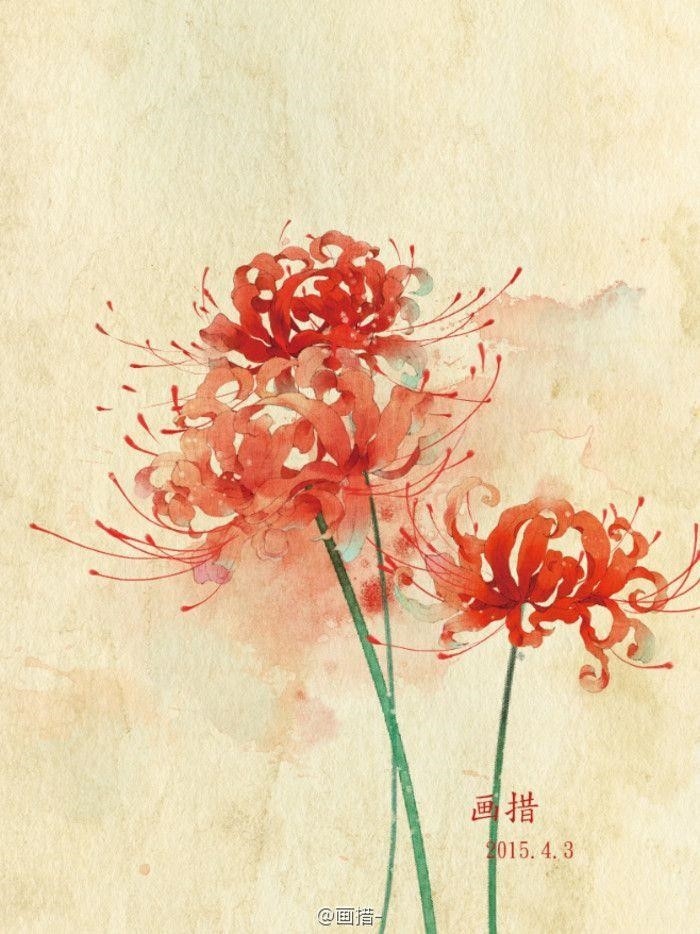Hoa bỉ ngạn anime đẹp là một trong những loại hoa đẹp và phổ biến trong các bộ phim hoạt hình Nhật Bản, mang đến vẻ đẹp tươi sáng và thu hút người xem với màu sắc và hình dáng độc đáo.